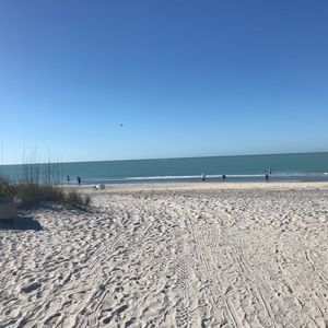 Meet your Posher, Felicia